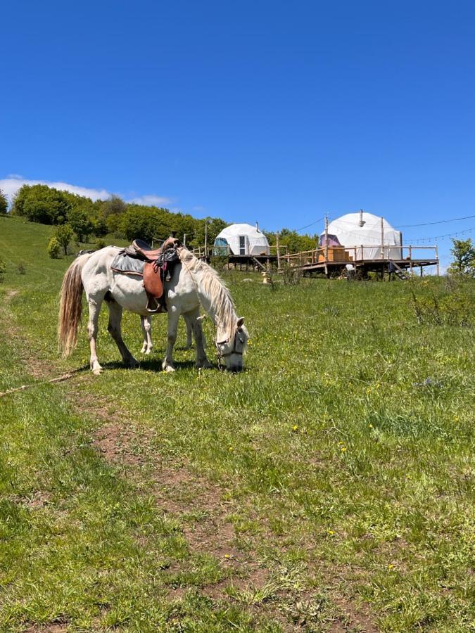 Glamping Park Hotel Shahumyan Екстериор снимка